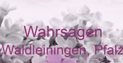 Wahrsagen Waldleiningen, Pfalz | Top-Experten für Kartenlegen, Wahrsagen, Hellsehen, Zukunftsdeutung. Wahrsagen Waldleiningen, Pfalz | Top-Experten für Kartenlegen, Wahrsagen, Hellsehen, Zukunftsdeutung.